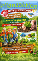 Umweltaktion bei Rot-Weiss Walldorf